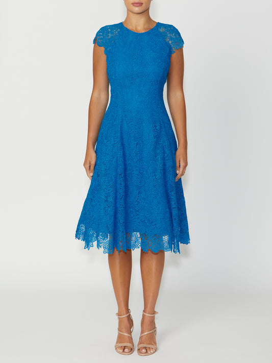 Women's Lace Fit Flare Dress in Blue | Marnie