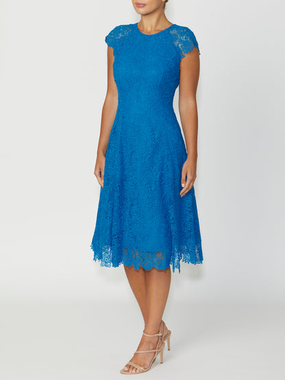 Women's Lace Fit Flare Dress in Blue | Marnie