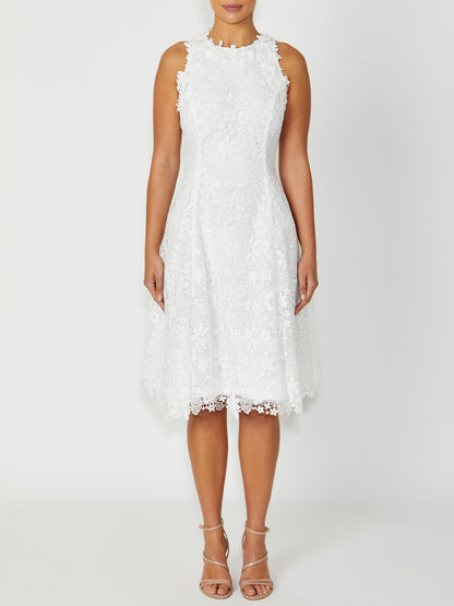 Women's Lace Fit & Flare Dress in White | Virginia