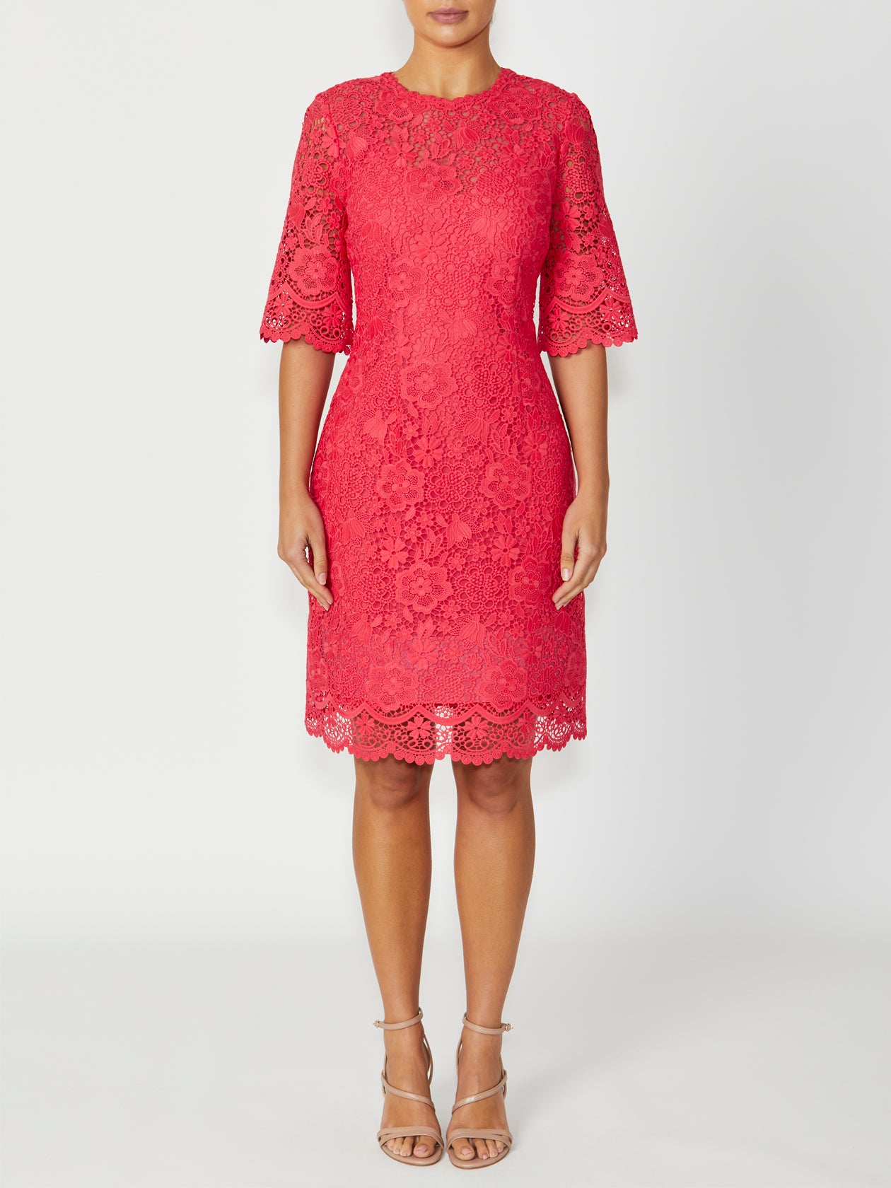 Women's Lace High Neck Dress in Orange | Madeline