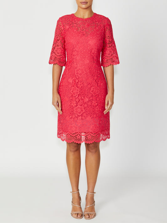 Women's Lace High Neck Dress in Orange | Madeline