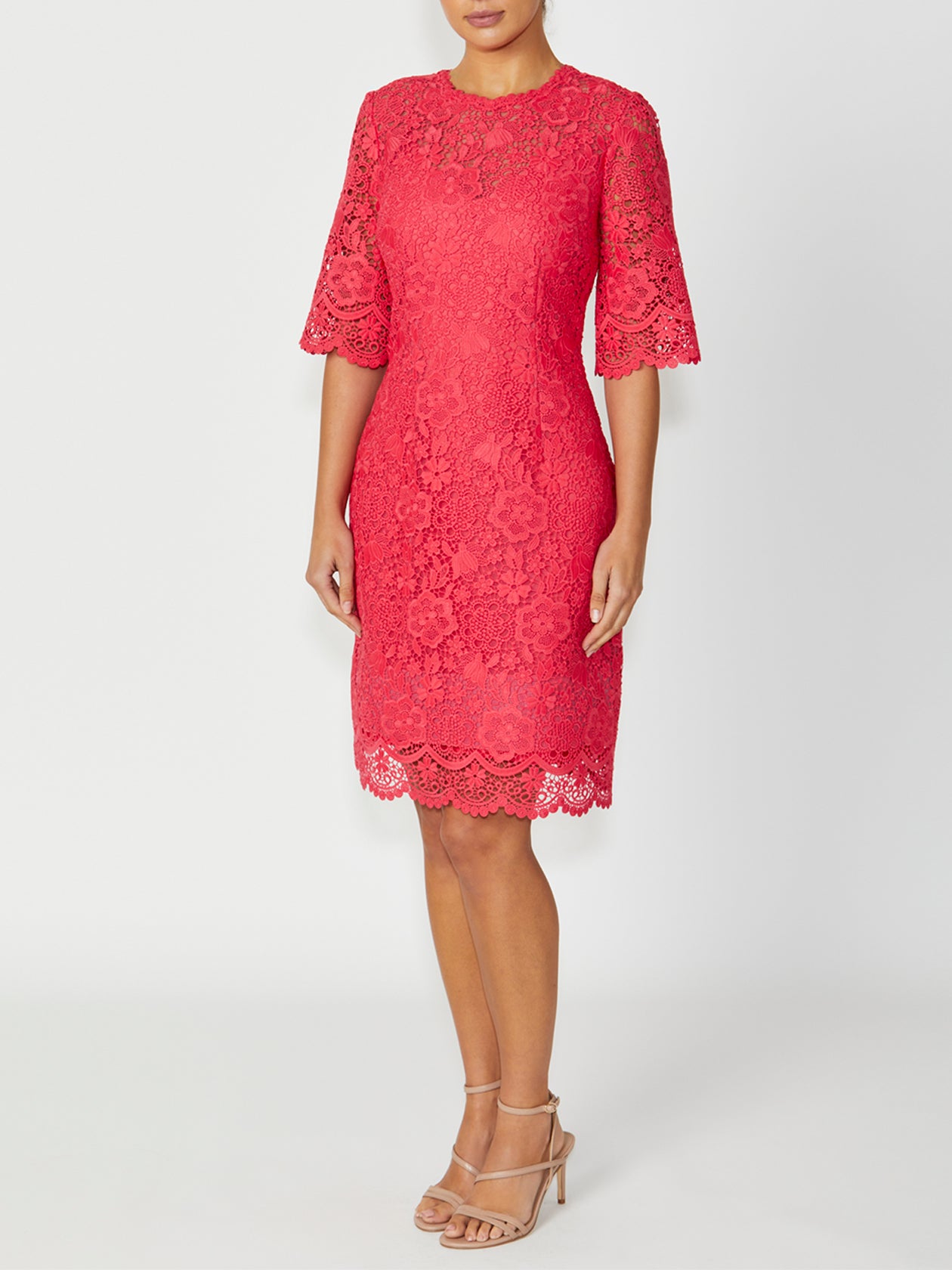 Women's Lace High Neck Dress in Orange | Madeline